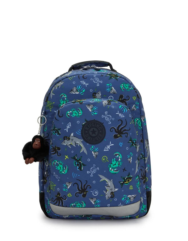 Cover: Kipling Classroom Undersea Party