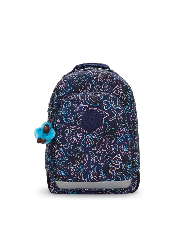 Cover: Kipling Classroom Disco Fish