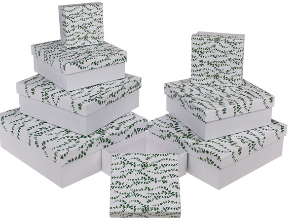 Eucalyptus White Gift Box - Size 6