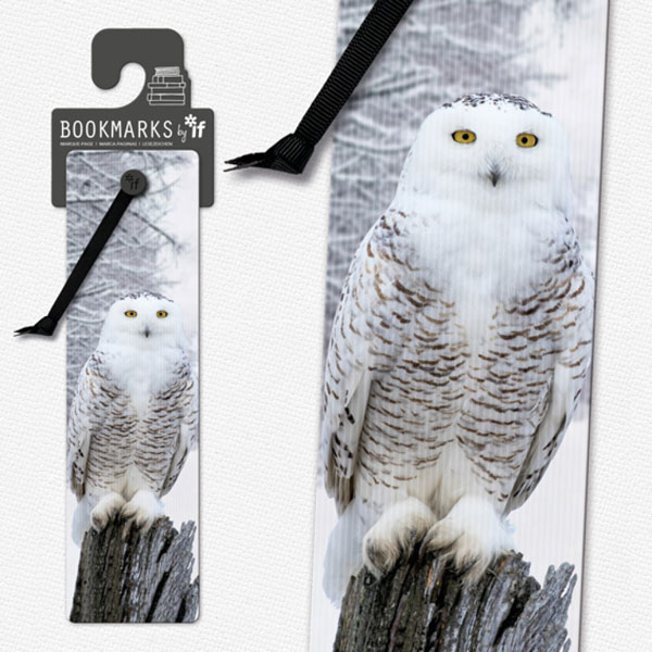 3D Bookmarks - Snowy Owl
