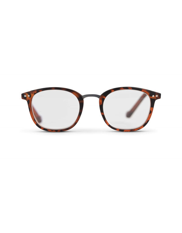 Cover: Easy Readers - Metal Bridge Tortoiseshell +2.0 (U)