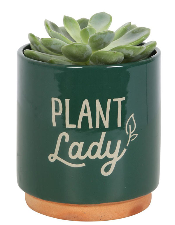 Cover: Dark Green Plant Lady Plant Pot