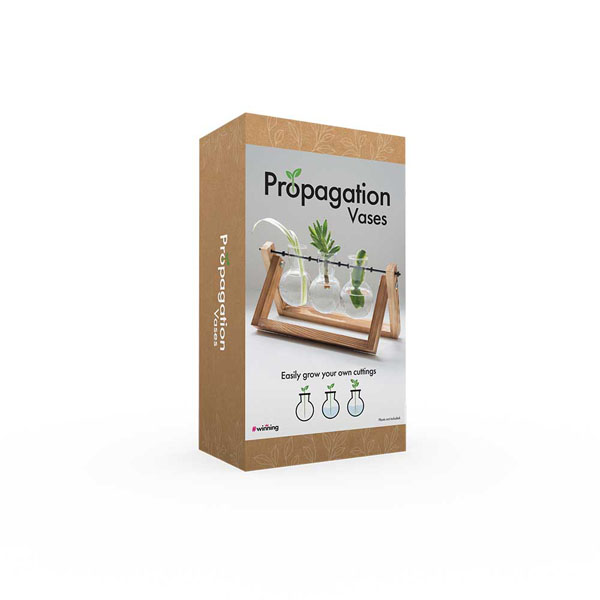 Propagation Vases