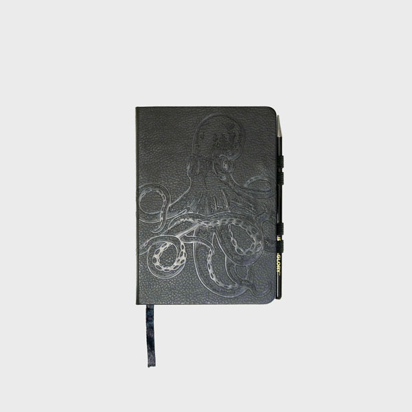 Cover: Raincheck - Waterproof Notebook & Pencil