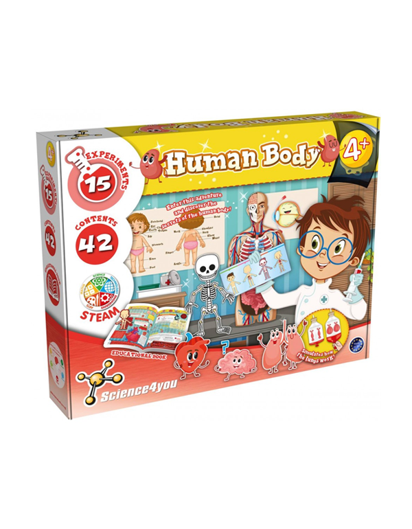 Biology Toys - Human Body
