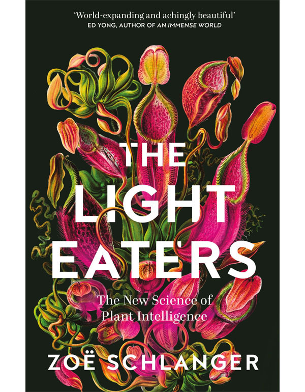 The Light Eaters: The New Science of Plant Intelligence