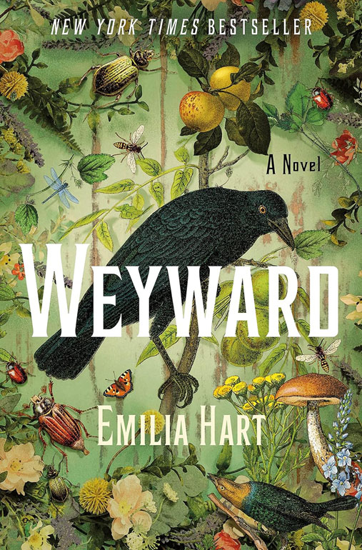 Cover: Weyward
