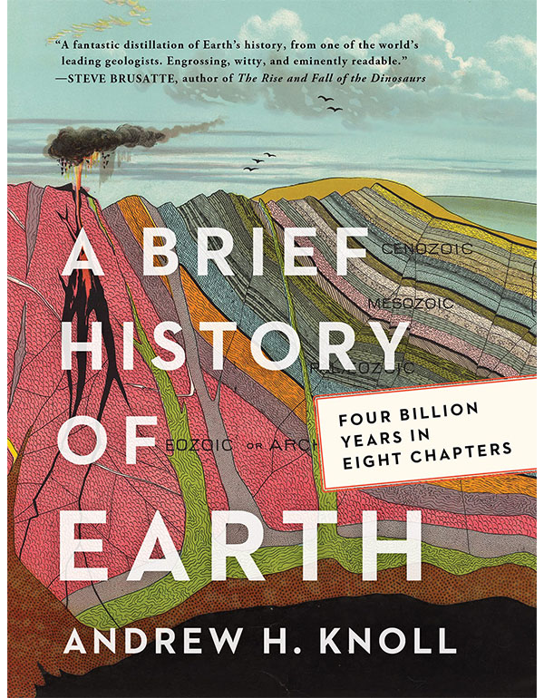 A Brief History of Earth
