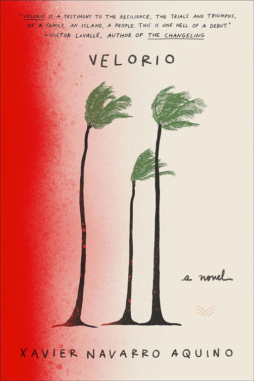 Cover: Velorio