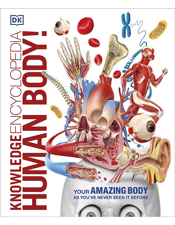 Cover: Knowledge Encyclopedia Human Body!