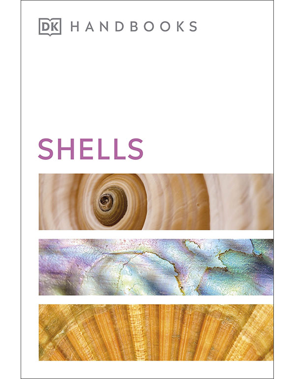 Cover: Shells