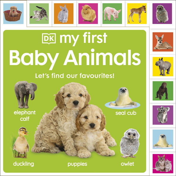 My First Baby Animals: Lets Find Our Favourites!