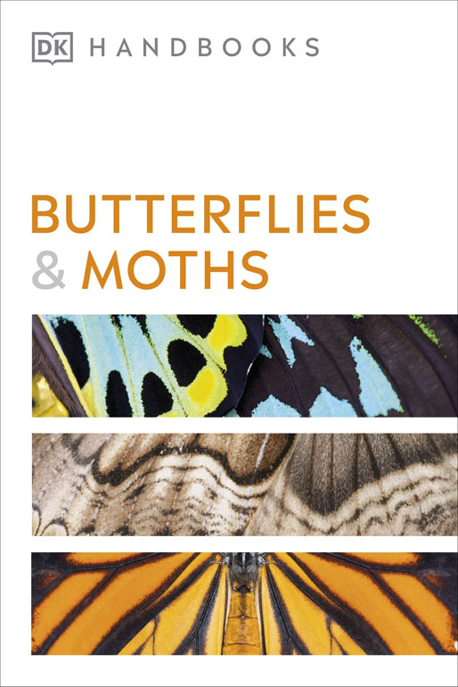 Butterflies And Moths