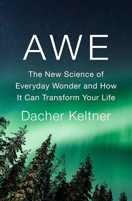 Cover: Awe: The Transformative Power Of Everyday Wonder