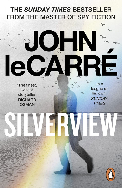 Cover: Silverview