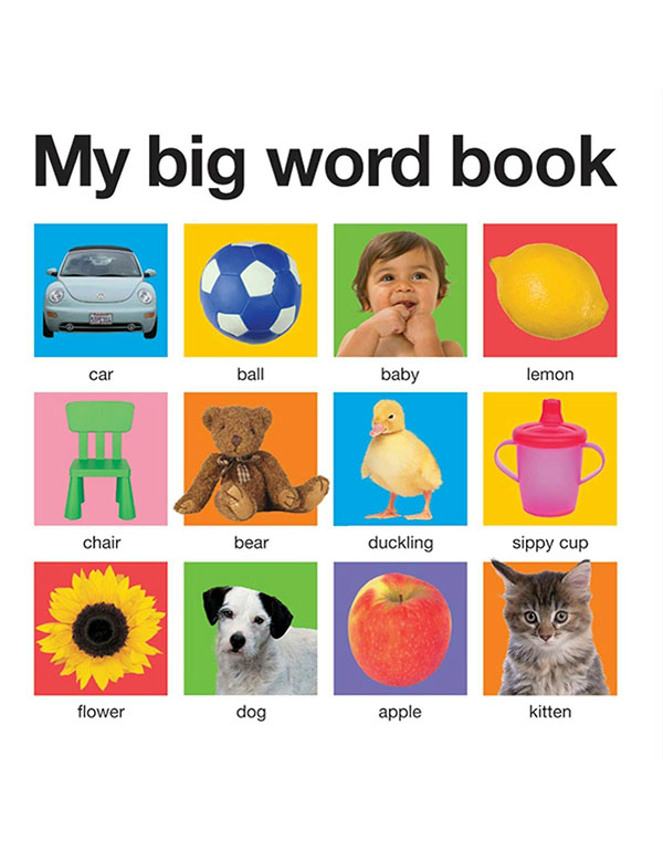 My Big Word Book (Casebound)