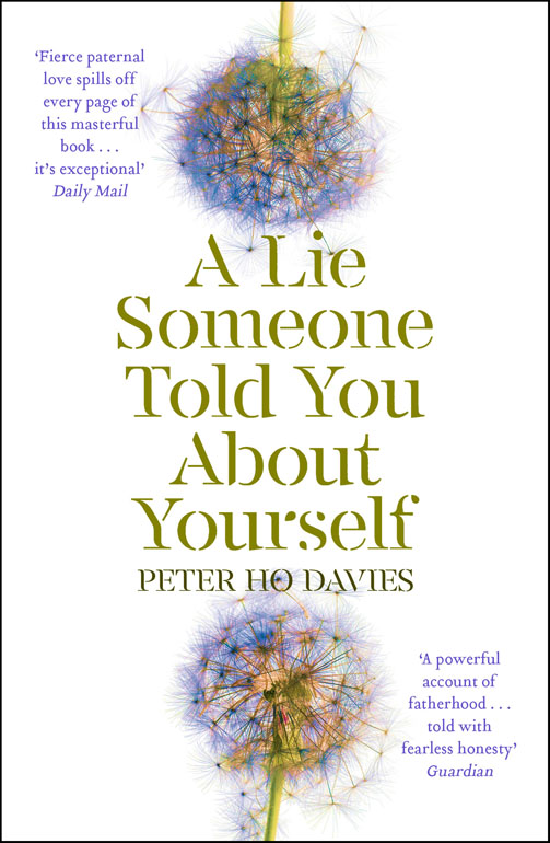 Cover: A Lie Someone Told You About Yourself