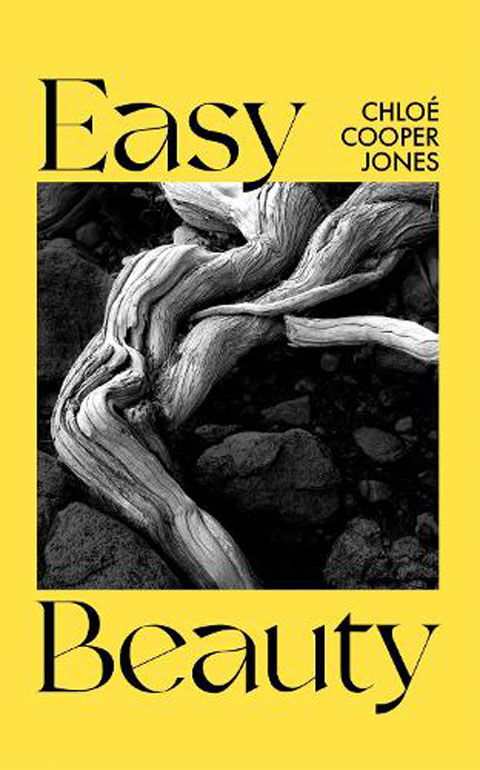 Cover: Easy Beauty