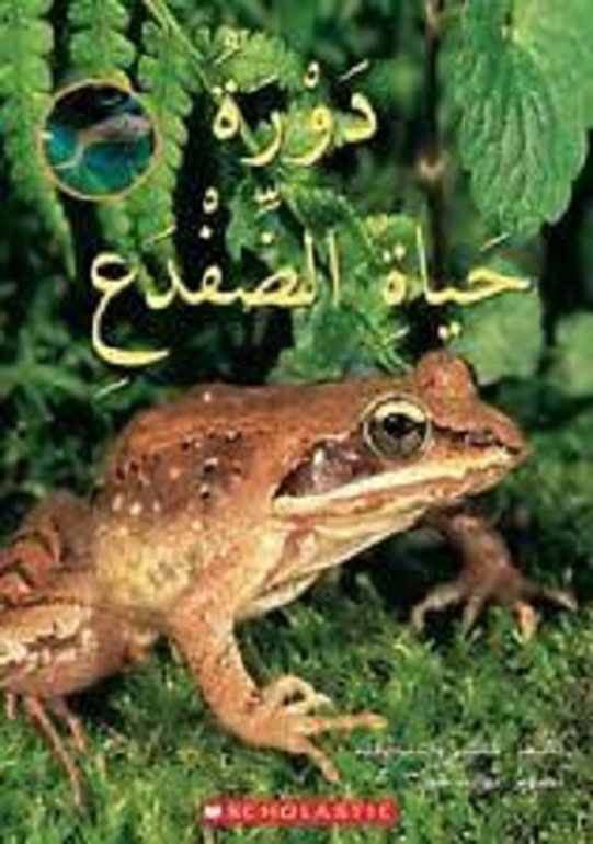 دورة حياة الضفدع