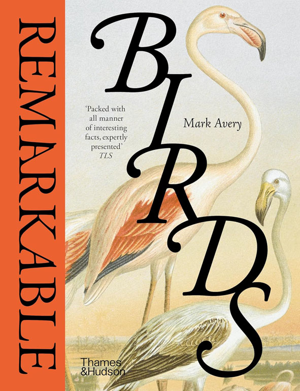 Cover: Remarkable Birds