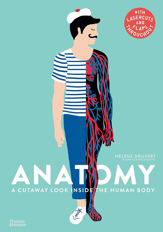 Cover: Anatomy