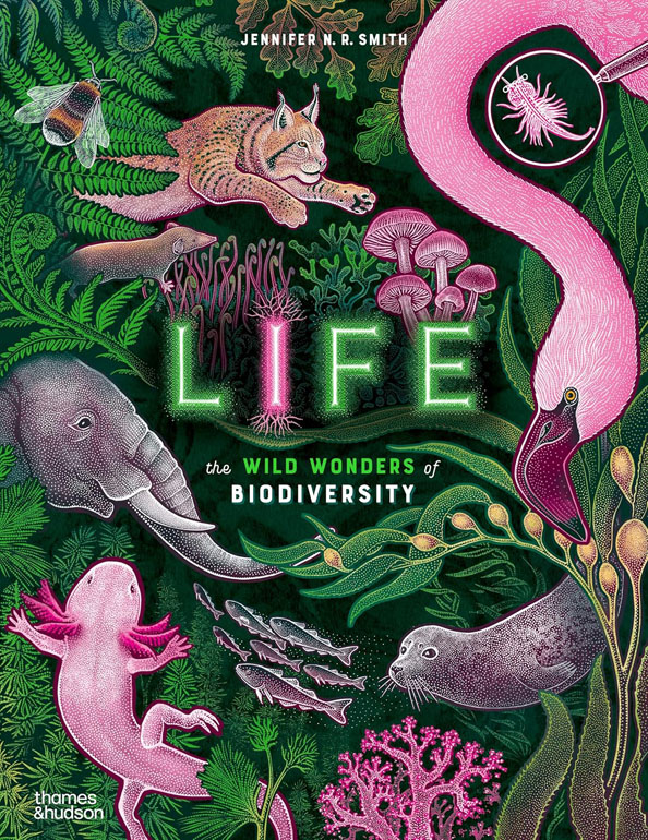 Cover: Life