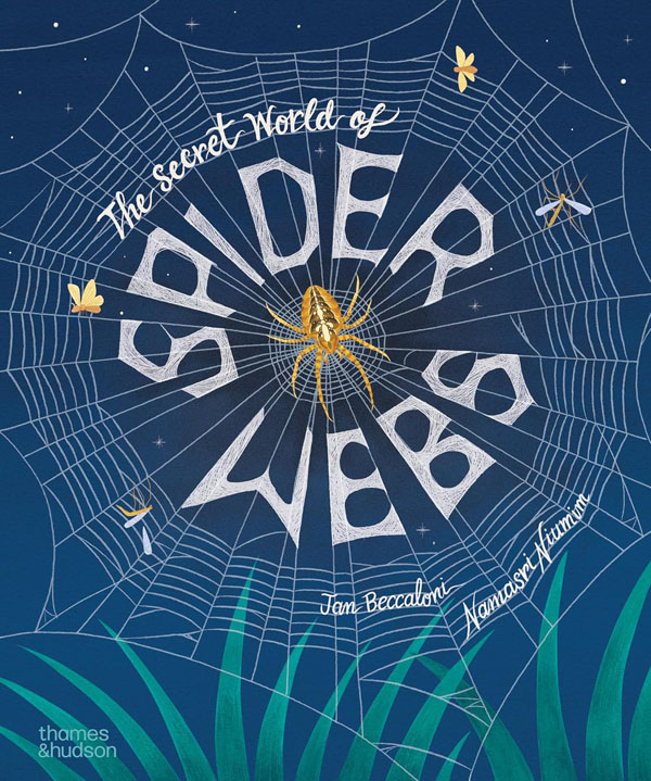 Cover: The Secret World of Spider Webs