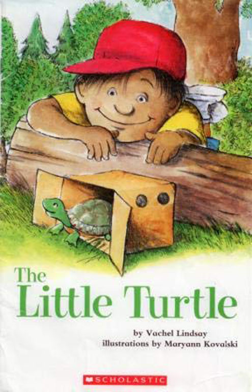 Cover: The Little Turtle
