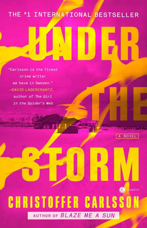 Cover: Under The Storm: A Novel
