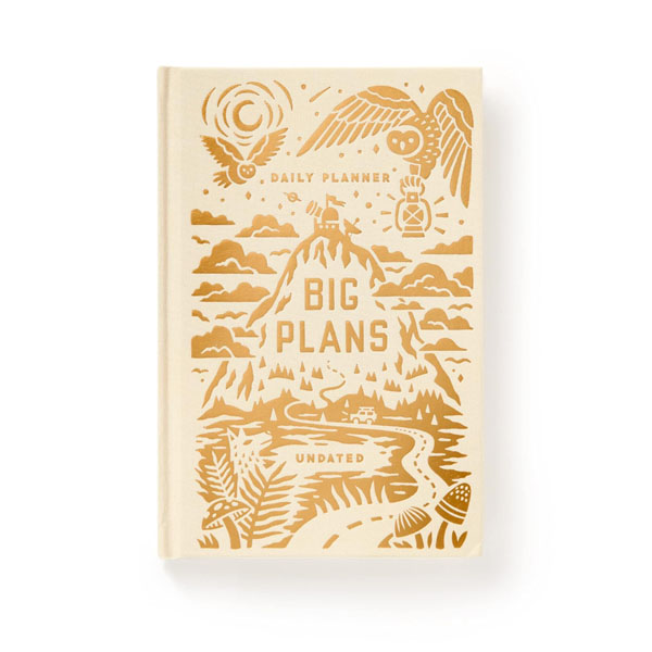 Cover: Big Plans