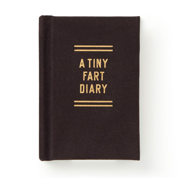 Cover: Tiny Fart Diary