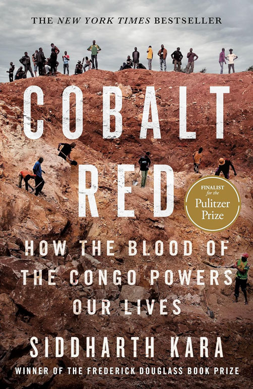 Cobalt Red: How The Blood Of The Congo Powers Our Lives