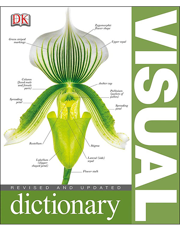 Visual Dictionary