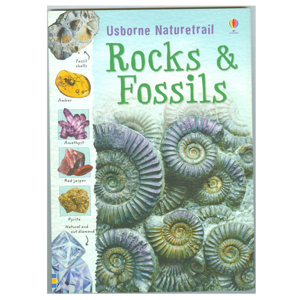 Rocks And Fossils
