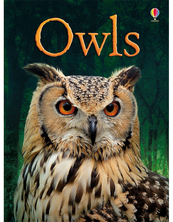 Owls