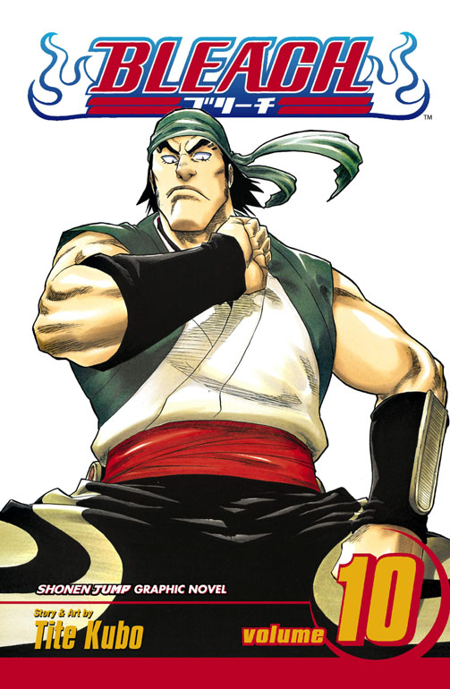 Cover: Bleach, Vol. 10: Tattoo On The Sky