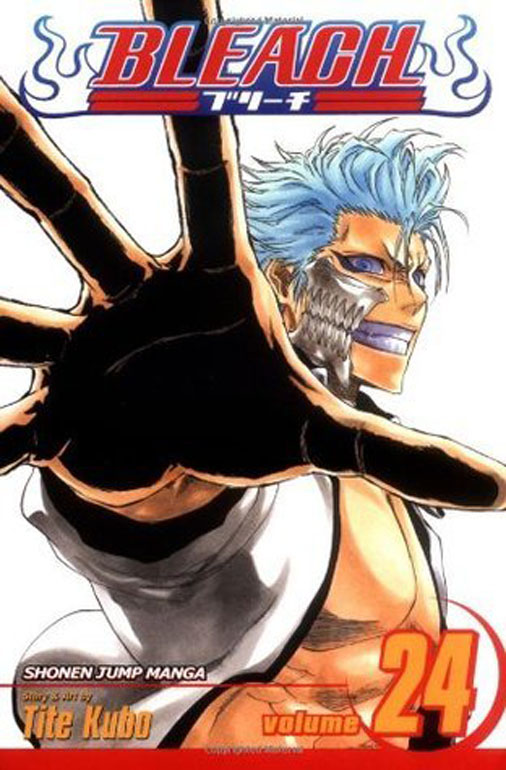 Bleach, Vol. 24