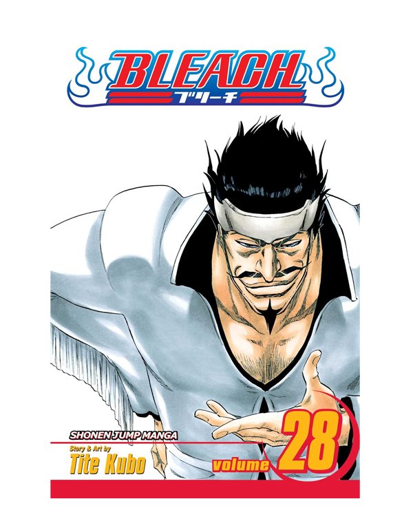 Cover: Bleach, Vol. 28