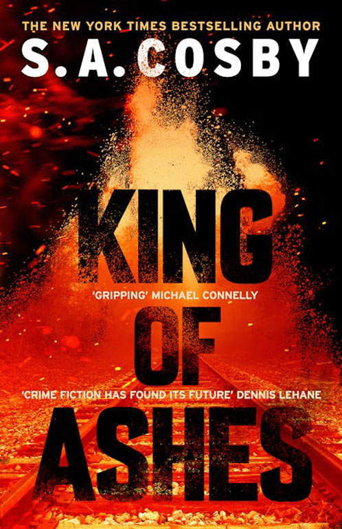 Cover: King of Ashes