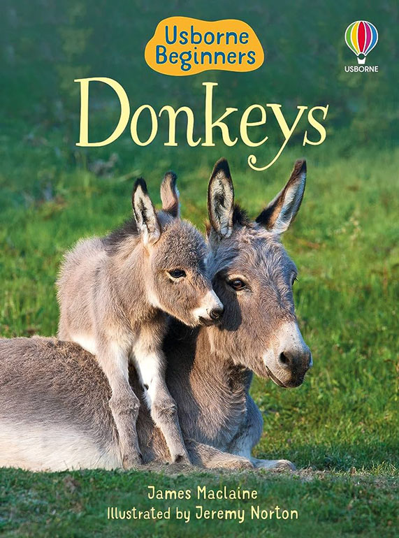 Donkeys