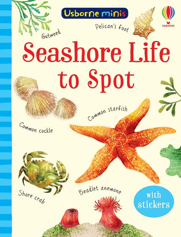 Cover: Seashore Life To Spot