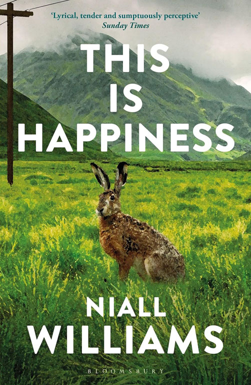 Cover: This Is Happiness