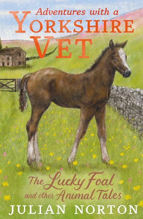 Adventures With A Yorkshire Vet: The Lucky Foal And Other Animal Tales
