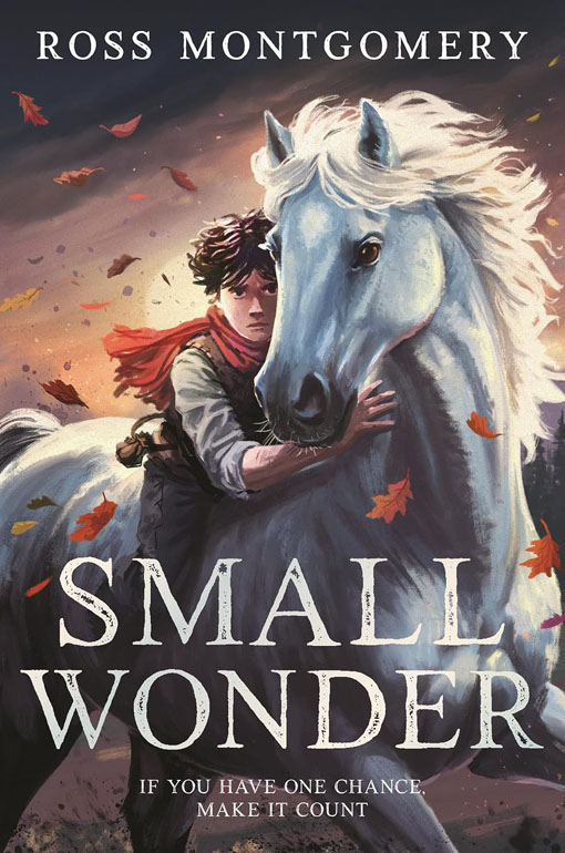 Cover: Small Wonder