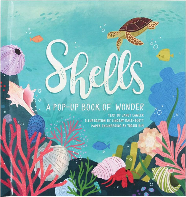 Shells: A Pop-Up Book Of Wonder