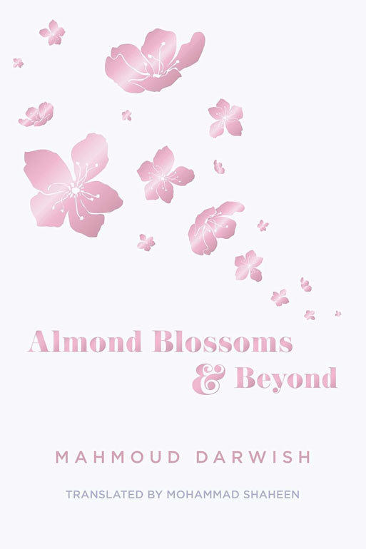 Almond Blossoms and Beyo