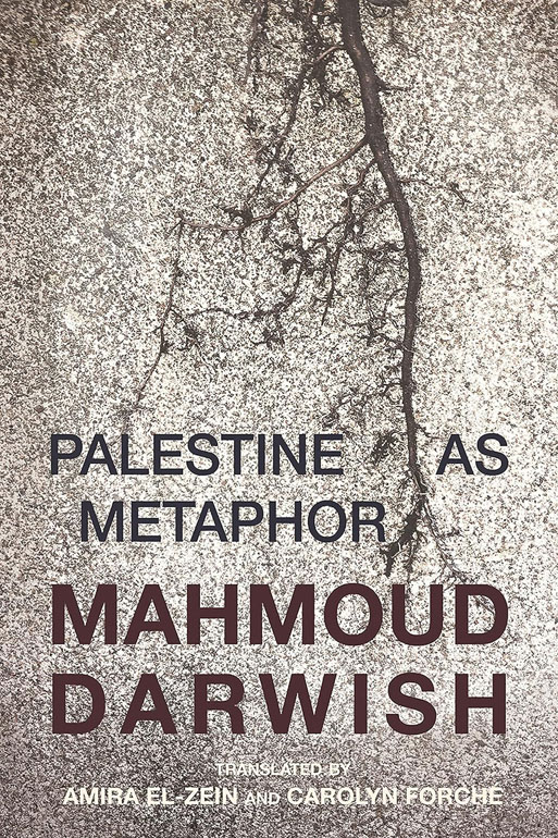 Palestine As Metaphor