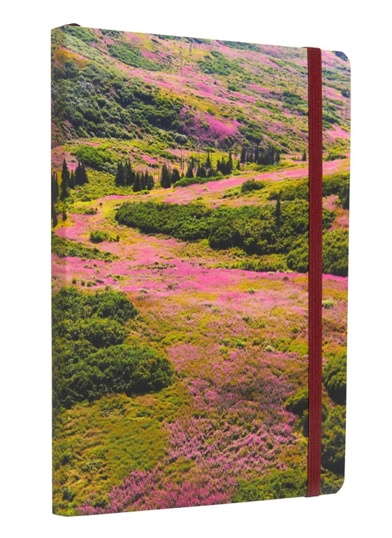 Cover: Refuge: Purple Firewood Softcover Notebook