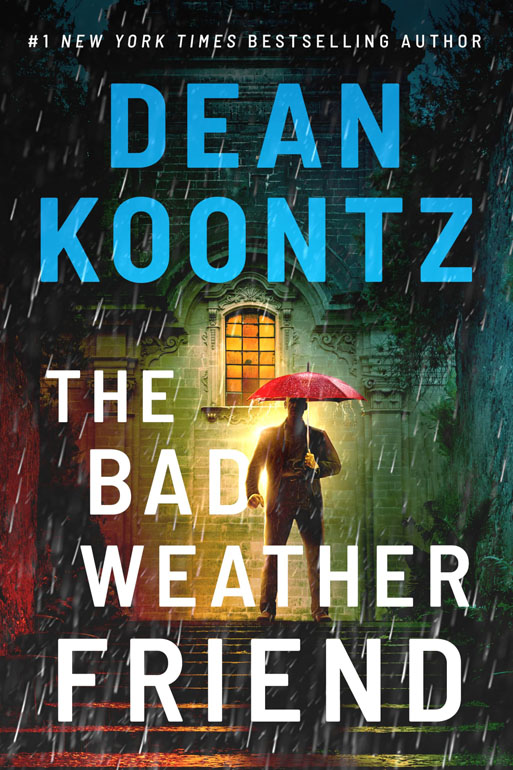 Cover: Bad Weather Friend