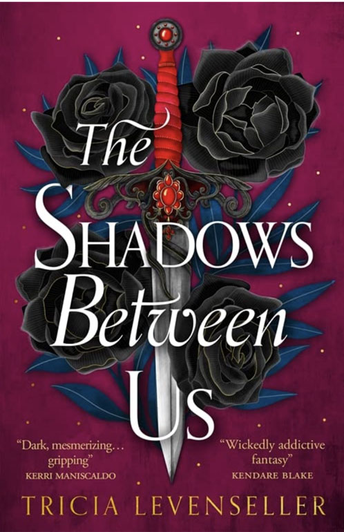 Cover: The Shadows Between Us